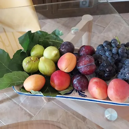 Anpemo Dimora Storica Dal 1837 Silvi Paese