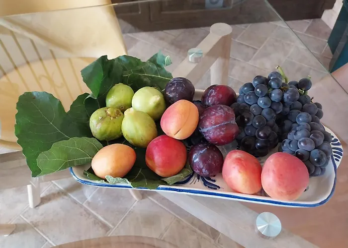 Anpemo Dimora Storica Dal 1837 Silvi Paese